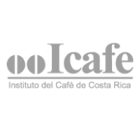 ooicafe instituto del café de costa rica