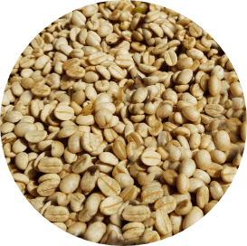parchment coffee semi or fully washed